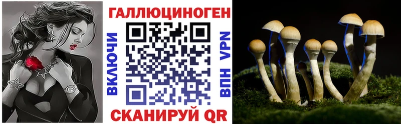 Галлюциногенные грибы прущие грибы  что такое наркотик  kraken зеркало  Петров Вал 
